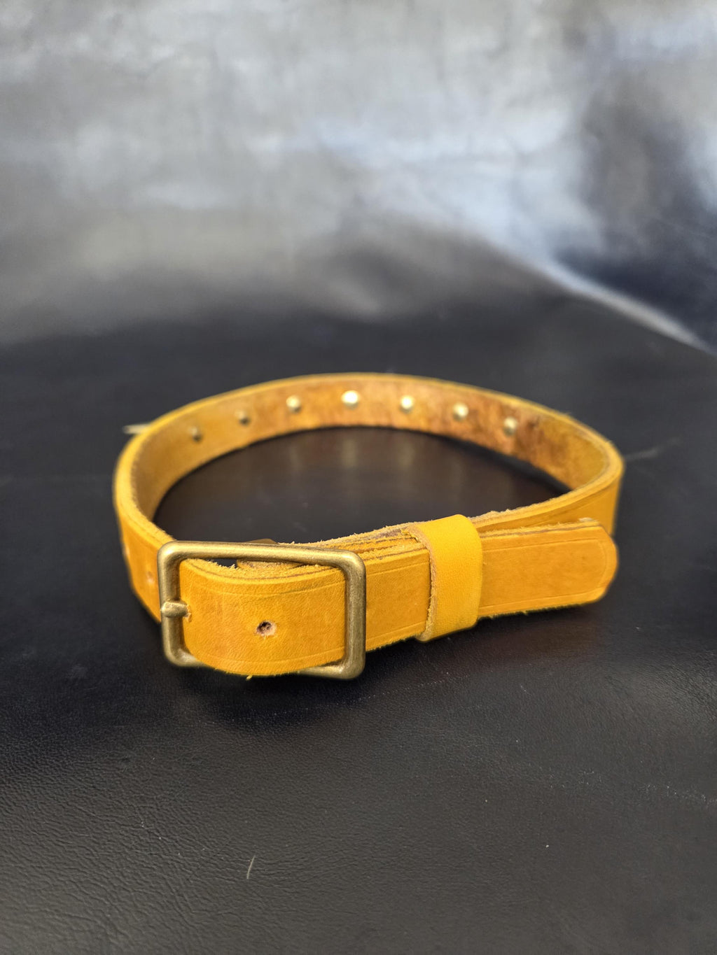 Yellow leather spiked choker necklace collar size LG.